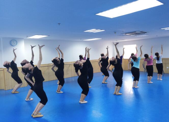 舞蹈培训学校:广东舞蹈艺考集训班哪个比较好?