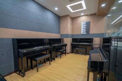 如何选择靠谱的北京钢琴艺考培训机构？